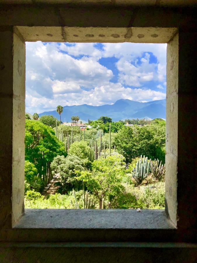 Beautiful Apartment In Oaxaca City'S Best Location Eksteriør billede