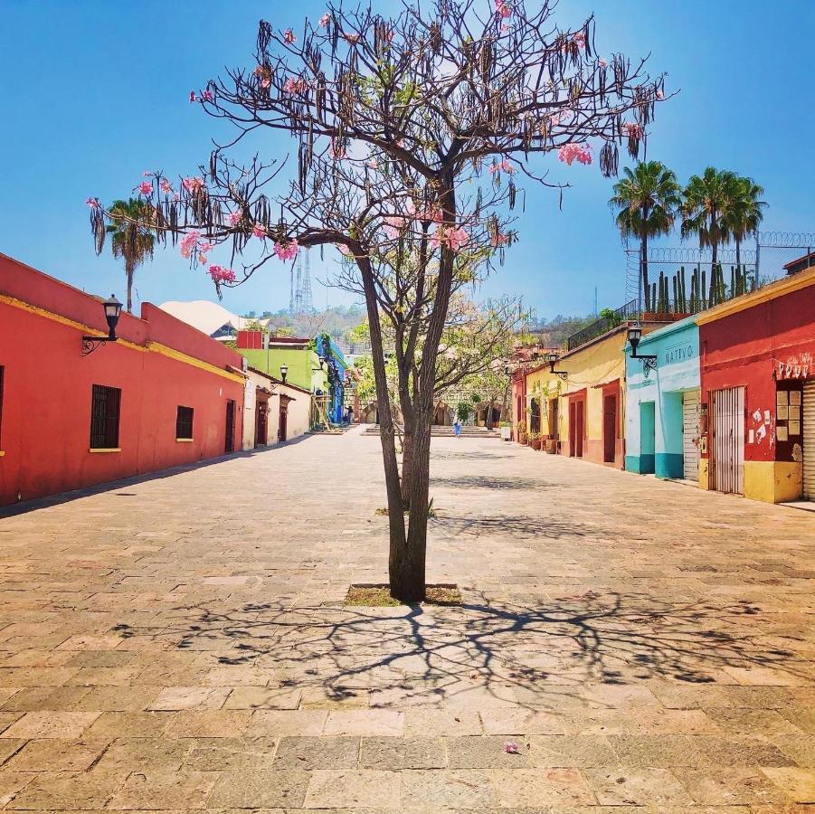 Beautiful Apartment In Oaxaca City'S Best Location Eksteriør billede