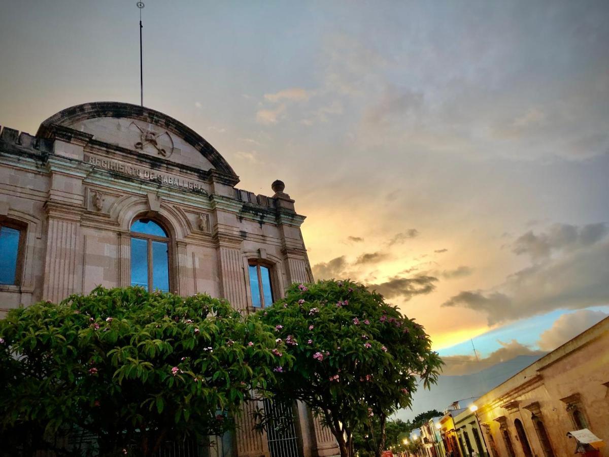 Beautiful Apartment In Oaxaca City'S Best Location Eksteriør billede